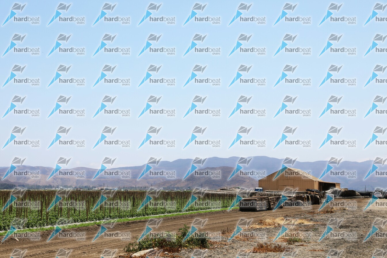 land-o-lakes-inc-9w6Qb-dqBwE-unsplash